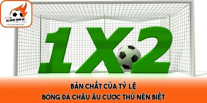 Bản chất của tỷ lệ bóng đá châu Âu cược thủ nên biết