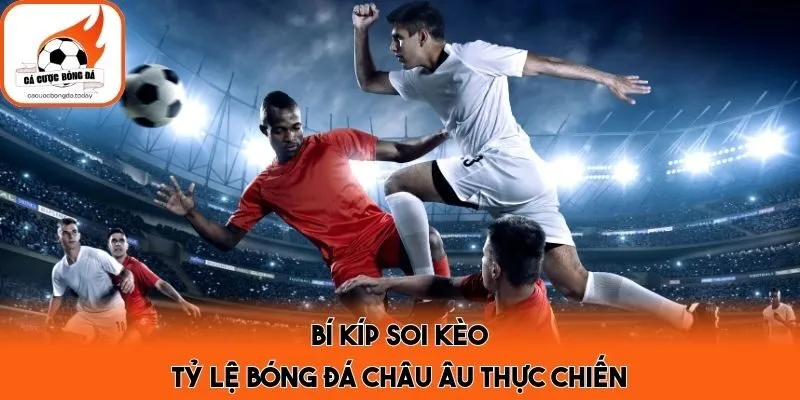 Bí kíp soi kèo tỷ lệ bóng đá châu Âu thực chiến