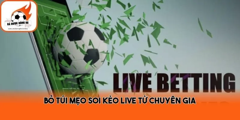 Bỏ túi mẹo soi kèo live từ chuyên gia