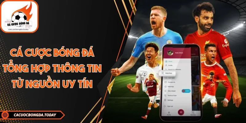 Cá cược bóng đá tổng hợp thông tin từ nguồn uy tín