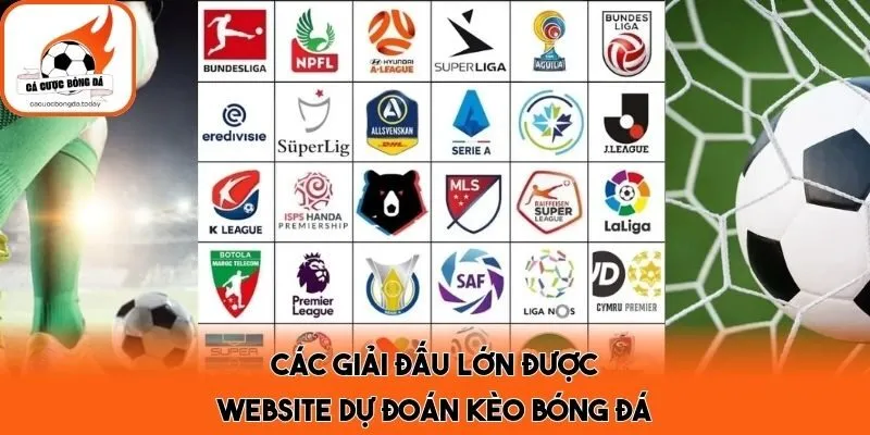 Các giải đấu lớn được website dự đoán kèo bóng đá