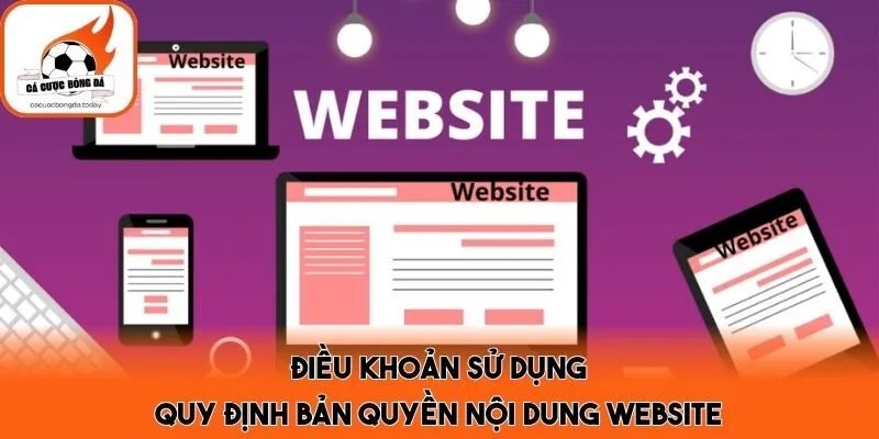 Điều khoản sử dụng quy định bản quyền nội dung website