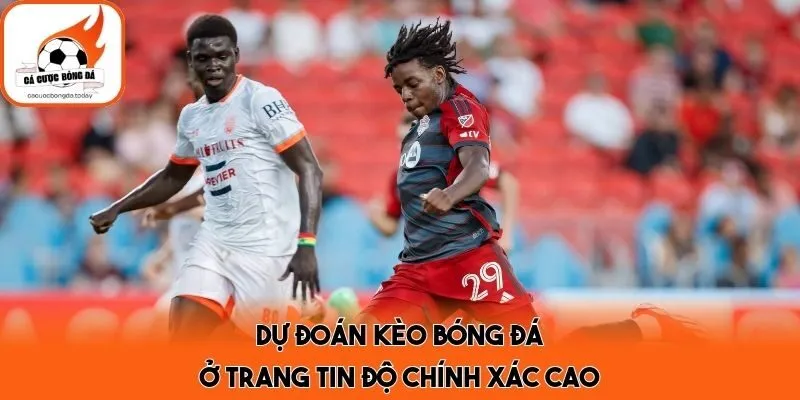 Dự đoán kèo bóng đá ở trang tin độ chính xác cao