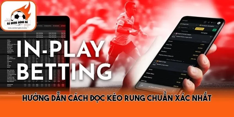 Hướng dẫn cách đọc kèo rung chuẩn xác nhất