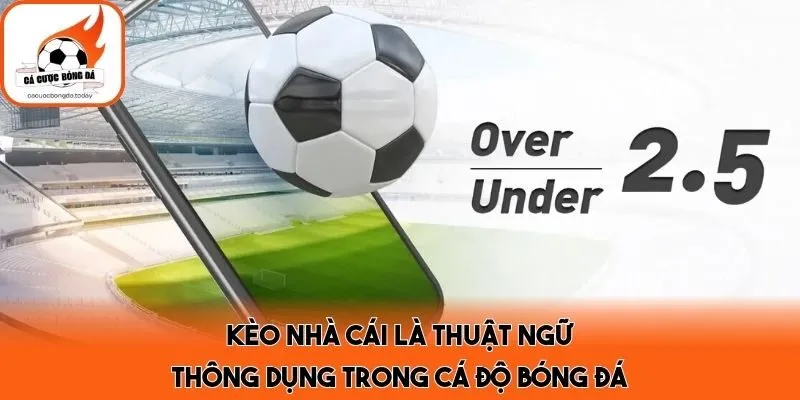 Kèo nhà cái là thuật ngữ thông dụng trong cá độ bóng đá