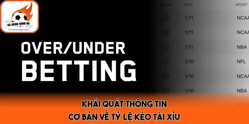 Khái quát thông tin cơ bản về tỷ lệ kèo tài xỉu