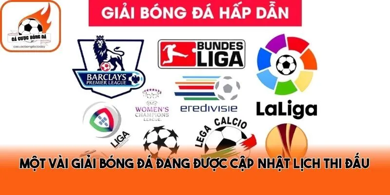 Một vài giải bóng đá đang được cập nhật lịch thi đấu