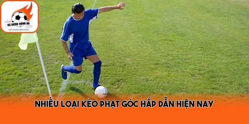 Nhiều loại kèo phạt góc hấp dẫn hiện nay