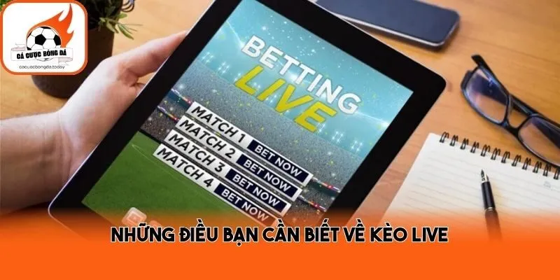 Những điều bạn cần biết về kèo live