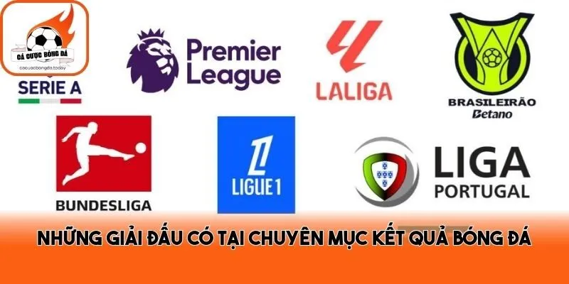 Những giải đấu có tại chuyên mục kết quả bóng đá