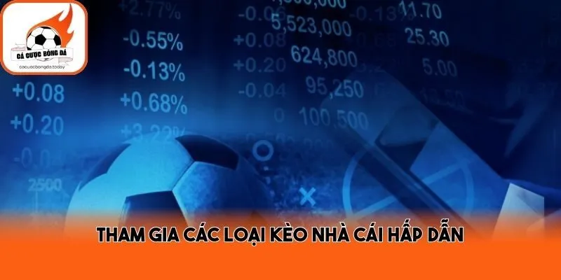 Tham gia các loại kèo nhà cái hấp dẫn