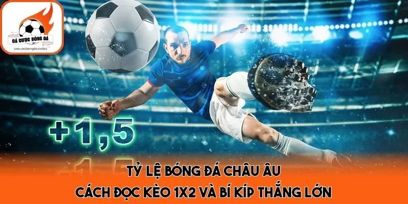 Tỷ Lệ Bóng Đá Châu Âu - Cách Đọc Kèo 1x2 Và Bí Kíp Thắng Lớn
