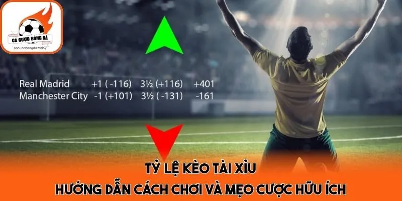 Tỷ Lệ Kèo Tài Xỉu - Hướng Dẫn Cách Chơi Và Mẹo Cược Hữu Ích